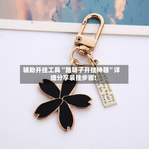 辅助开挂工具“跑胡子开挂神器”详细分享装挂步骤!-第2张图片