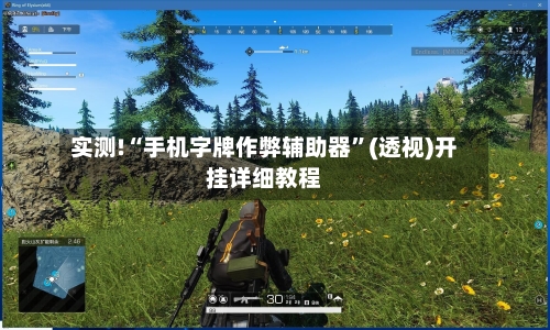 实测!“手机字牌作弊辅助器	”(透视)开挂详细教程-第2张图片