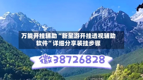 万能开挂辅助“新星游开挂透视辅助软件”详细分享装挂步骤-第2张图片