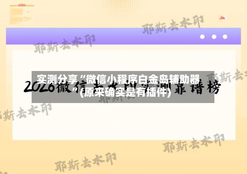 实测分享“微信小程序白金岛辅助器”(原来确实是有插件)-第2张图片