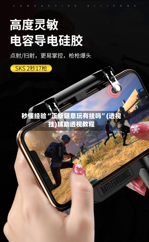秒懂经验“正版随意玩有挂吗”(透视挂)辅助透视教程-第2张图片