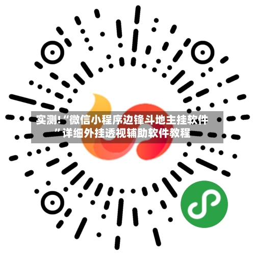 实测!“微信小程序边锋斗地主挂软件”详细外挂透视辅助软件教程-第3张图片