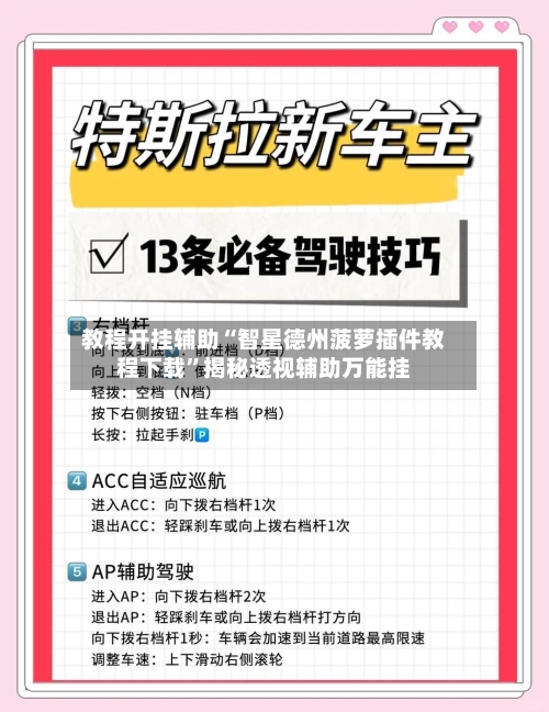 教程开挂辅助“智星德州菠萝插件教程下载”揭秘透视辅助万能挂-第3张图片