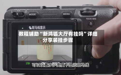 教程辅助“新鸿狐大厅有挂吗	”详细分享装挂步骤-第2张图片