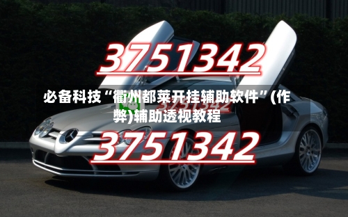 必备科技“衢州都莱开挂辅助软件”(作弊)辅助透视教程-第3张图片