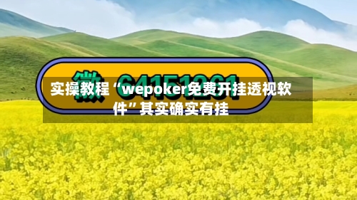 实操教程“wepoker免费开挂透视软件	”其实确实有挂-第2张图片