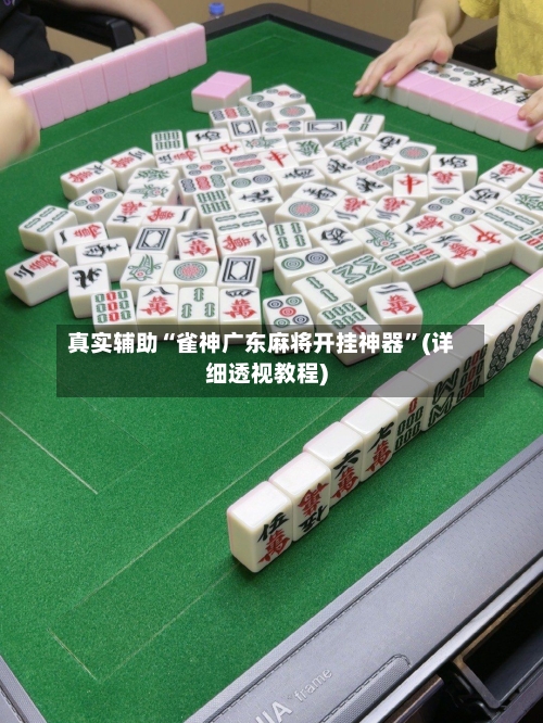 真实辅助“雀神广东麻将开挂神器”(详细透视教程)-第3张图片