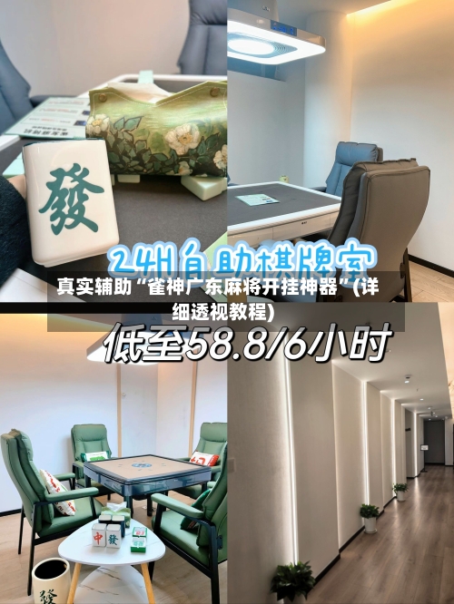 真实辅助“雀神广东麻将开挂神器”(详细透视教程)-第2张图片