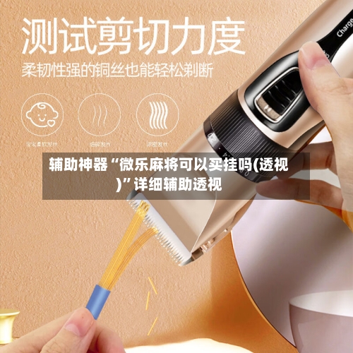 辅助神器“微乐麻将可以买挂吗(透视)”详细辅助透视-第2张图片