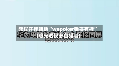 教程开挂辅助“wepoker确实有挂”(曝光透视必备猫腻)-第3张图片