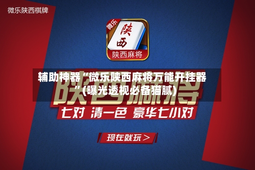 辅助神器“微乐陕西麻将万能开挂器”(曝光透视必备猫腻)-第3张图片