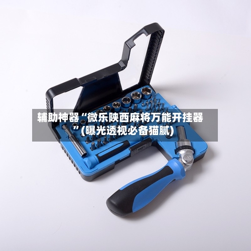 辅助神器“微乐陕西麻将万能开挂器	”(曝光透视必备猫腻)-第2张图片