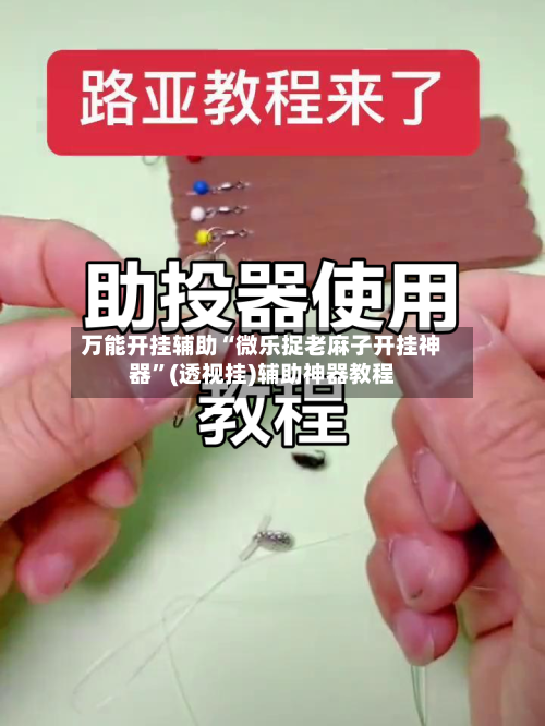 万能开挂辅助“微乐捉老麻子开挂神器	”(透视挂)辅助神器教程-第2张图片