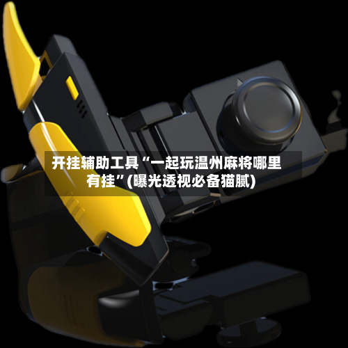 开挂辅助工具“一起玩温州麻将哪里有挂”(曝光透视必备猫腻)-第2张图片