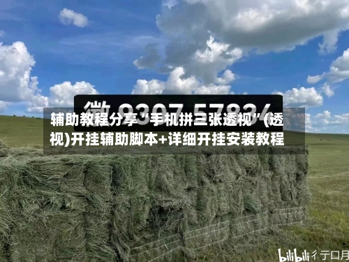 辅助教程分享“手机拼三张透视	”(透视)开挂辅助脚本+详细开挂安装教程-第2张图片
