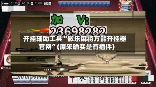 开挂辅助工具“微乐麻将万能开挂器官网”(原来确实是有插件)-第2张图片