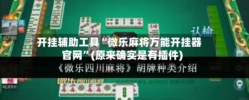 开挂辅助工具“微乐麻将万能开挂器官网”(原来确实是有插件)-第3张图片