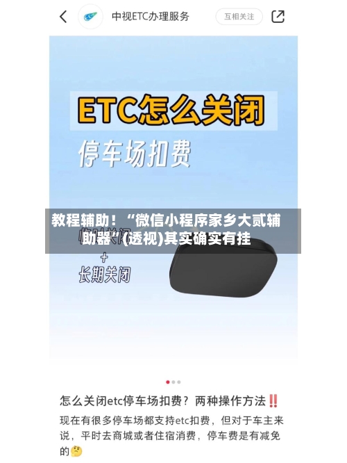 教程辅助！“微信小程序家乡大贰辅助器”(透视)其实确实有挂