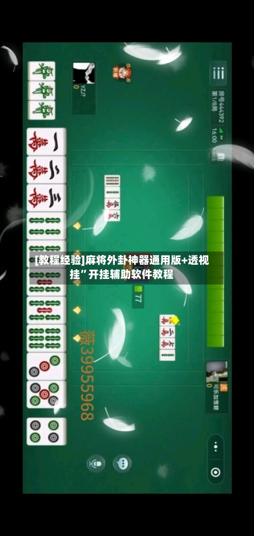 [教程经验]麻将外卦神器通用版+透视挂”开挂辅助软件教程-第2张图片