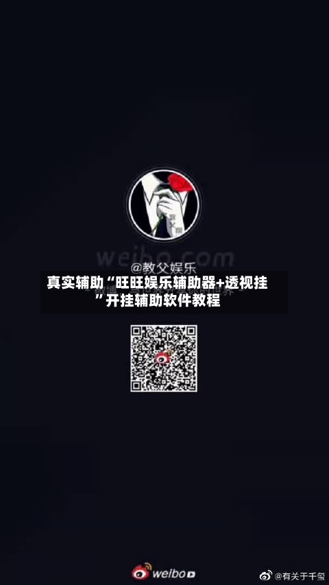 真实辅助“旺旺娱乐辅助器+透视挂	”开挂辅助软件教程-第2张图片