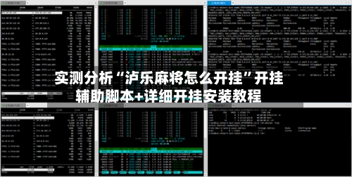 实测分析“泸乐麻将怎么开挂”开挂辅助脚本+详细开挂安装教程-第3张图片