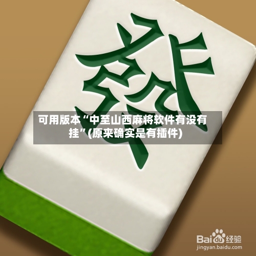可用版本“中至山西麻将软件有没有挂”(原来确实是有插件)-第2张图片