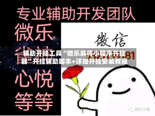 辅助开挂工具“微乐麻将小程序开挂器”开挂辅助脚本+详细开挂安装教程