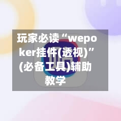 玩家必读“wepoker挂件(透视)”(必备工具)辅助教学-第2张图片