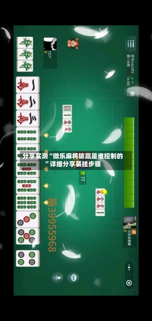 分享实测“微乐麻将输赢是谁控制的	”详细分享装挂步骤-第3张图片