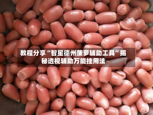 教程分享“智星德州菠萝辅助工具”揭秘透视辅助万能挂用法-第2张图片