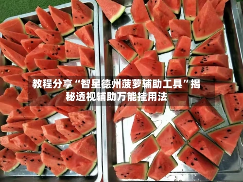 教程分享“智星德州菠萝辅助工具	”揭秘透视辅助万能挂用法-第3张图片