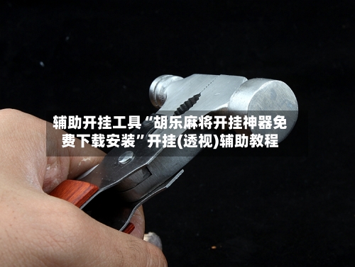 辅助开挂工具“胡乐麻将开挂神器免费下载安装”开挂(透视)辅助教程-第2张图片