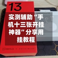 实测辅助“手机十三张开挂神器”分享用挂教程-第2张图片