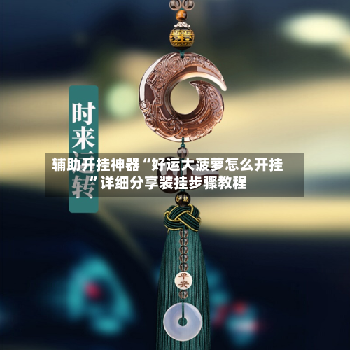 辅助开挂神器“好运大菠萝怎么开挂”详细分享装挂步骤教程-第2张图片