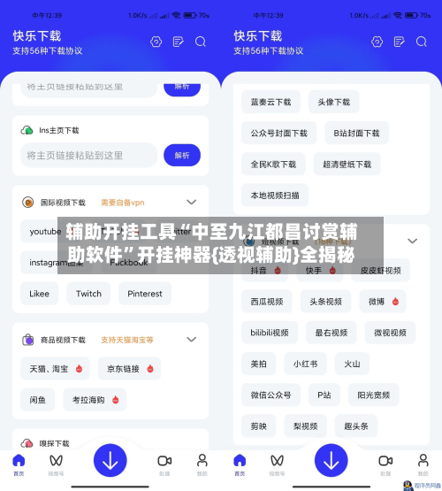 辅助开挂工具“中至九江都昌讨赏辅助软件”开挂神器{透视辅助}全揭秘-第3张图片