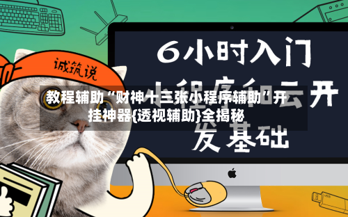 教程辅助“财神十三张小程序辅助”开挂神器{透视辅助}全揭秘-第3张图片