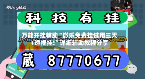 万能开挂辅助“微乐免费挂试用三天+透视挂!”详细辅助教程分享-第3张图片