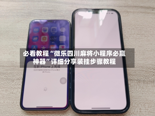 必看教程“微乐四川麻将小程序必赢神器”详细分享装挂步骤教程-第2张图片