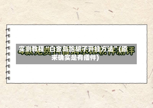 实测教程“白金岛跑胡子开挂方法	”(原来确实是有插件)-第2张图片