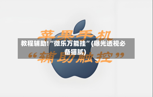 教程辅助!“微乐万能挂”(曝光透视必备猫腻)-第2张图片