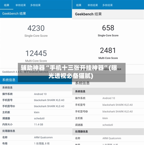 辅助神器“手机十三张开挂神器”(曝光透视必备猫腻)-第3张图片
