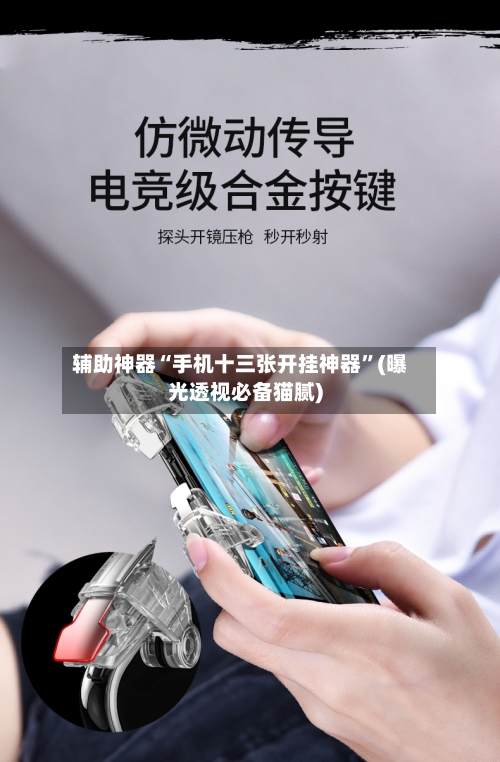 辅助神器“手机十三张开挂神器”(曝光透视必备猫腻)-第2张图片