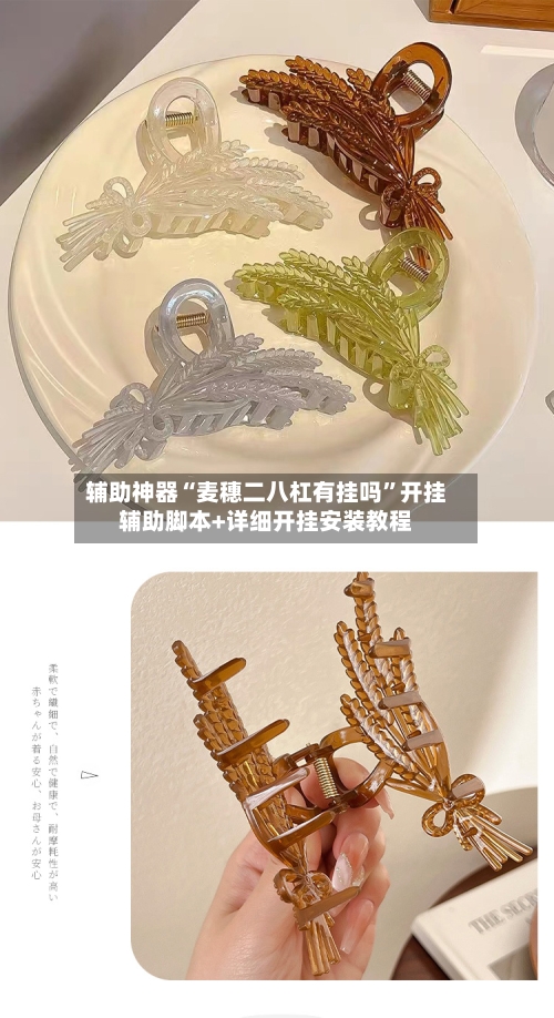 辅助神器“麦穗二八杠有挂吗”开挂辅助脚本+详细开挂安装教程-第2张图片