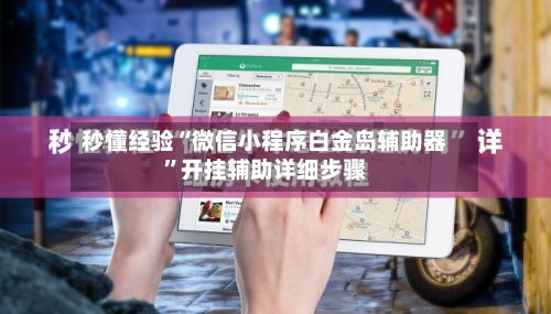 秒懂经验“微信小程序白金岛辅助器”开挂辅助详细步骤-第3张图片