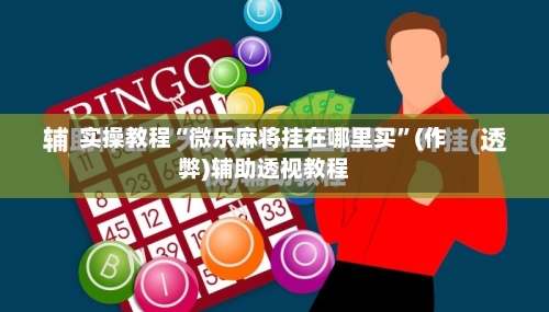 实操教程“微乐麻将挂在哪里买”(作弊)辅助透视教程-第3张图片