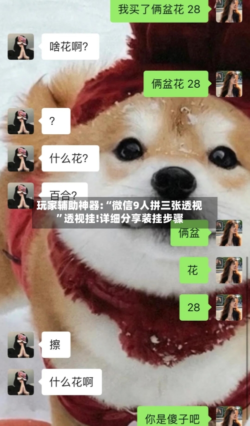 玩家辅助神器:“微信9人拼三张透视”透视挂!详细分享装挂步骤-第3张图片