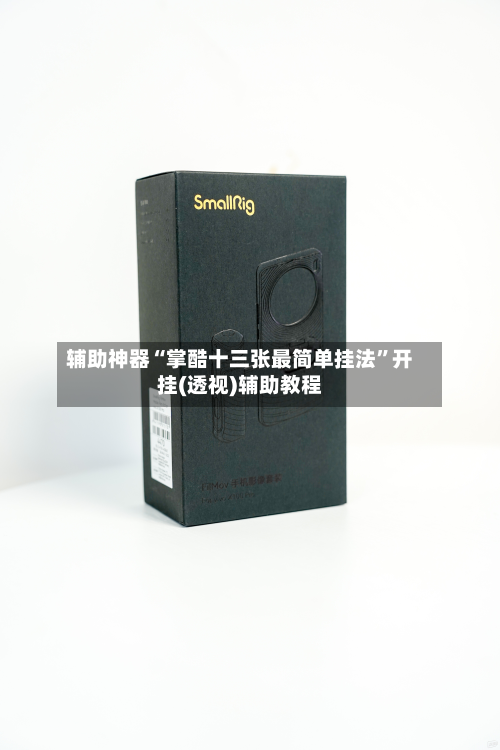 辅助神器“掌酷十三张最简单挂法”开挂(透视)辅助教程-第2张图片
