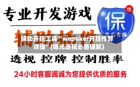 辅助开挂工具“wepoker开挂作弊详细”(曝光透视必备猫腻)-第2张图片