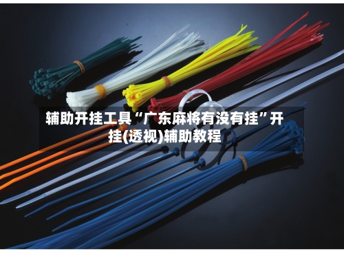辅助开挂工具“广东麻将有没有挂”开挂(透视)辅助教程-第3张图片