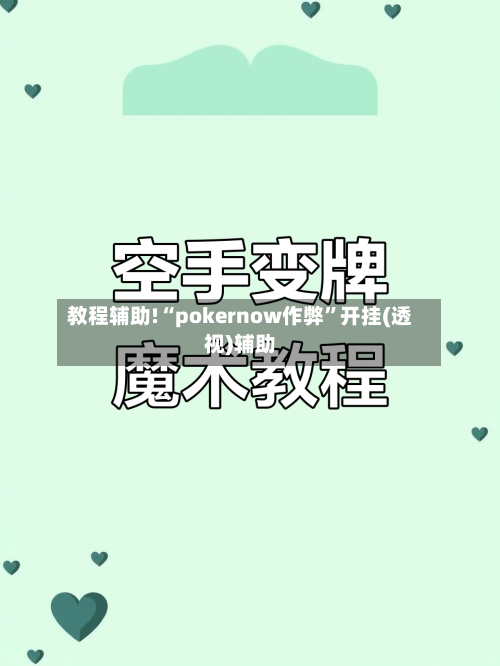 教程辅助!“pokernow作弊”开挂(透视)辅助-第2张图片
